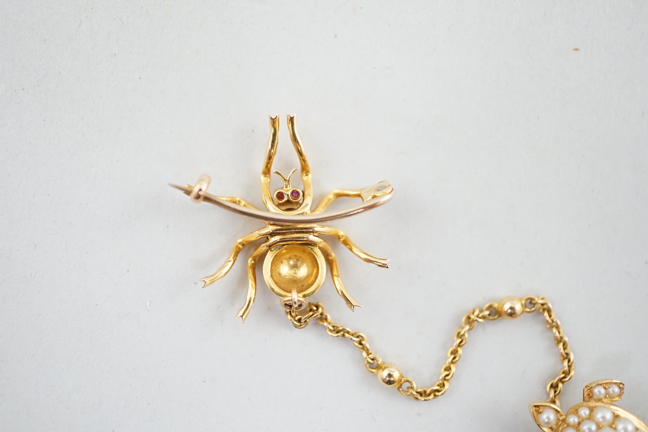 A late Victorian gold and seed pearl set brooch with suspension chain and clip, modelled as a spider with turtle